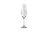 Champagneglas 19cl Optic - set/12