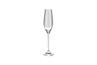 Champagneglas 21cl Cuvee - set/6