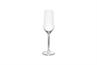 Champagneglas 22cl Prior - set/6